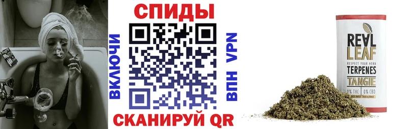 площадка формула  Щёлкино  БУТИРАТ 1.4BDO 